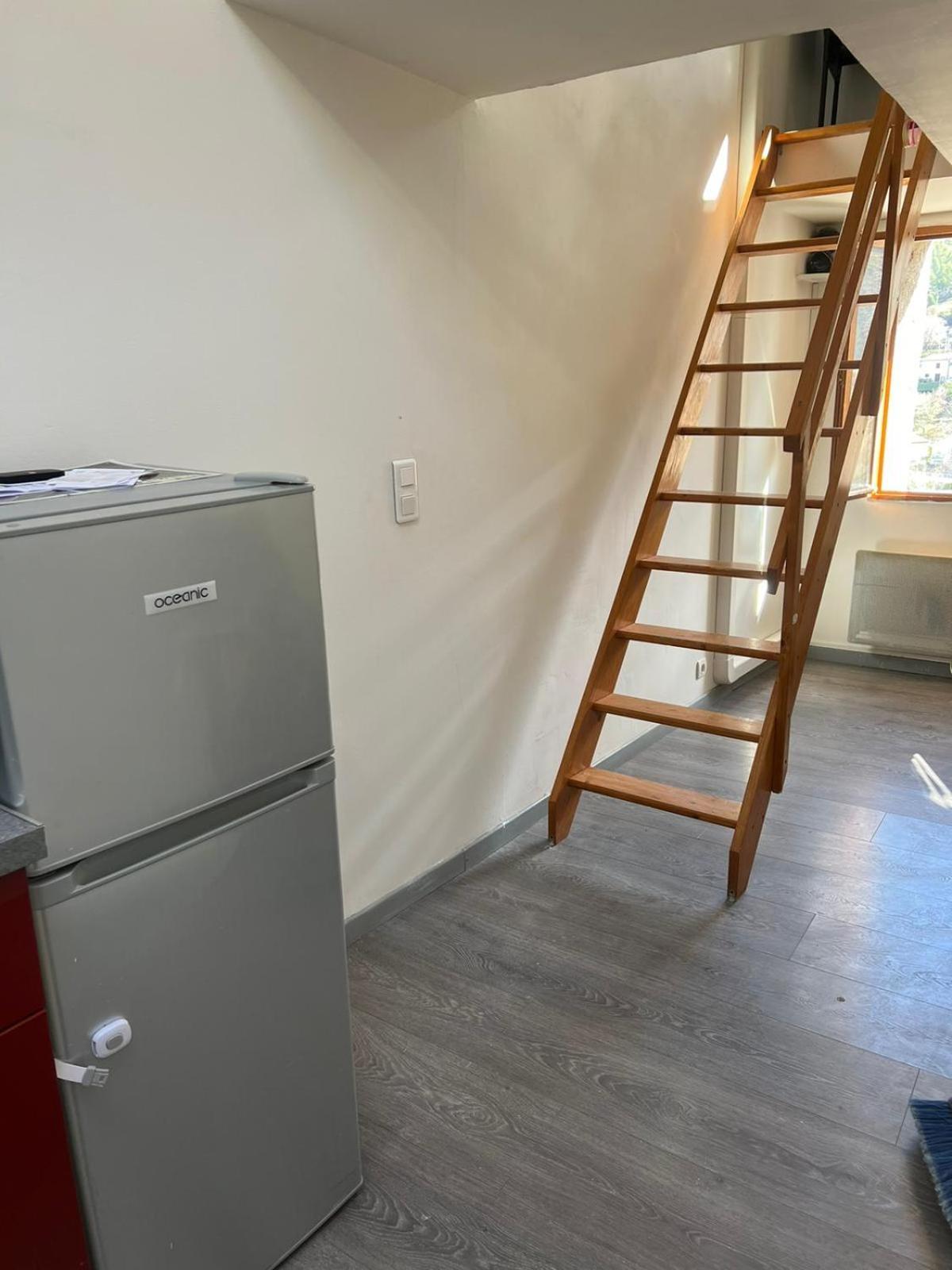 Duplex "La Belle Vue " Lägenhet Entrevaux Exteriör bild
